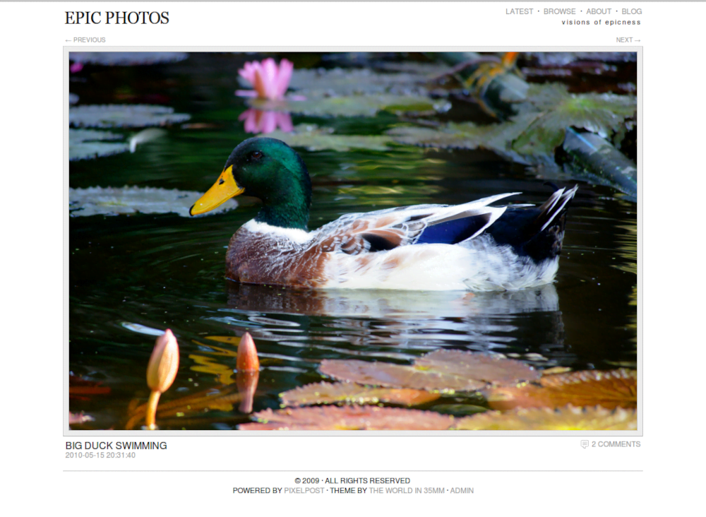 epicphotos website